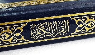 6573.jpg
