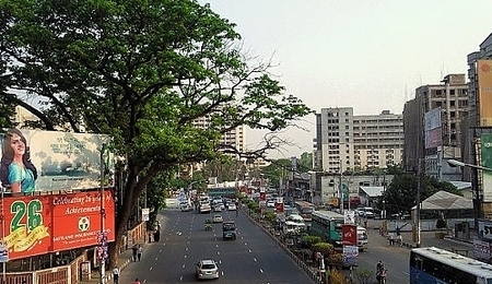 6454.jpg