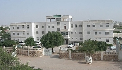 7023.jpg