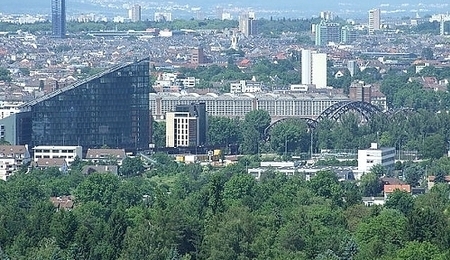 6611.jpg