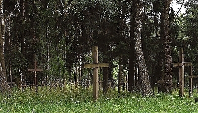 6976.jpg
