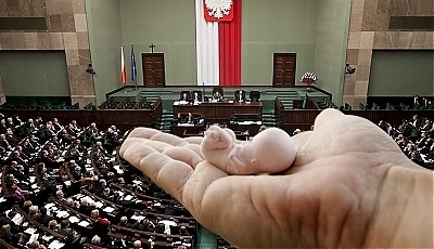 6523.jpg