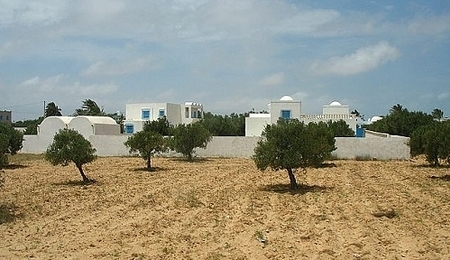 6449.jpg