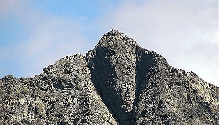 7005.jpg