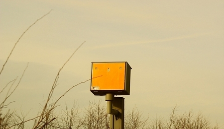 6949.jpg