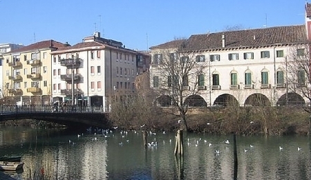 7365.jpg