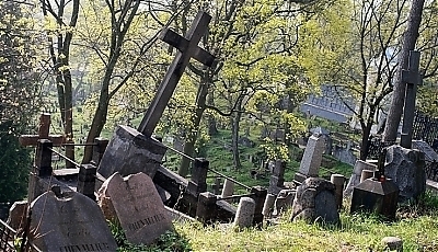 11063.jpg