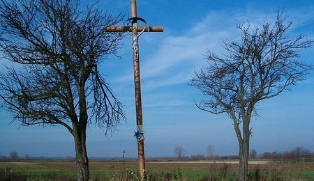 887.jpg