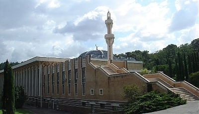 2556.jpg