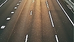 2596.jpg