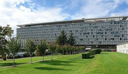 2495.jpg