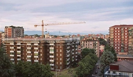 3731.jpg