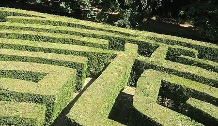 3391.jpg