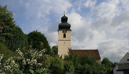 3646.jpg