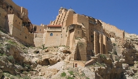 3464.jpg