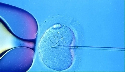 3753.jpg