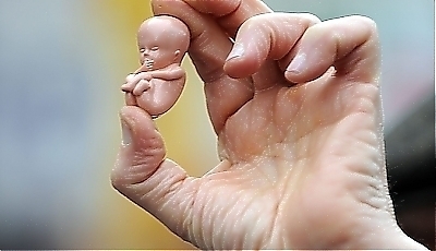 4581.jpg