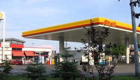 4555.jpg