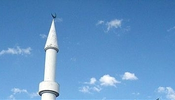 4135.jpg