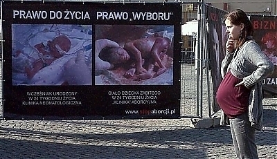 4626.jpg