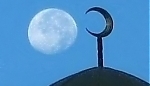 4925.jpg