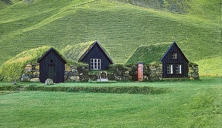 5195.jpg