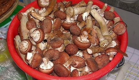 5137.jpg