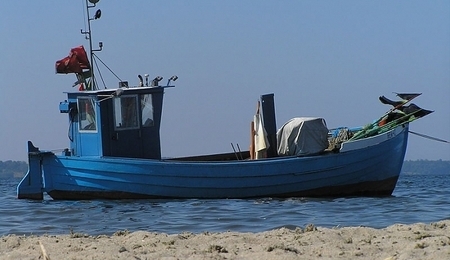 4767.jpg