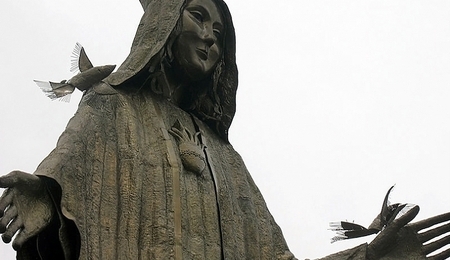 4790.jpg