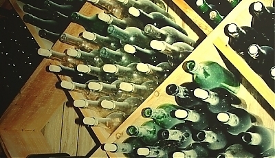 5196.jpg