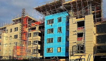 4703.jpg