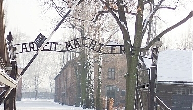 4931.jpg