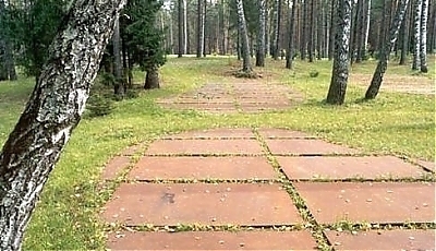 5529.jpg