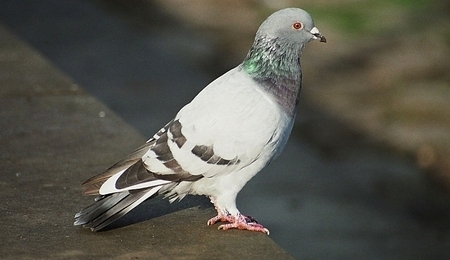5917.jpg