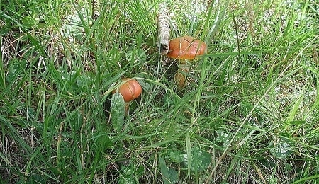 5576.jpg