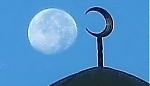 6126.jpg