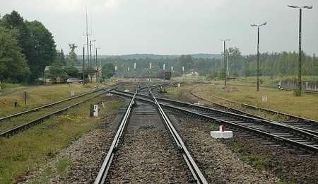 5964.jpg