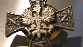 5979.jpg