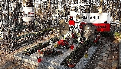 6135.jpg
