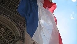 11917.jpg