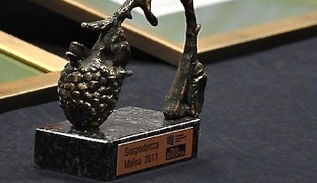 11577.jpg