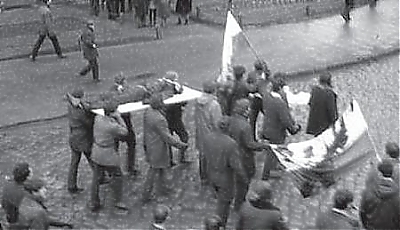 11765.jpg