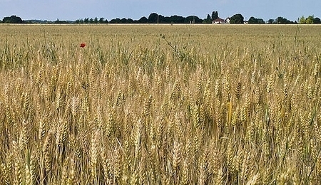 11970.jpg