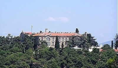 18195.jpg