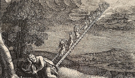 18231.jpg