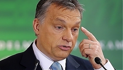 18355.jpg