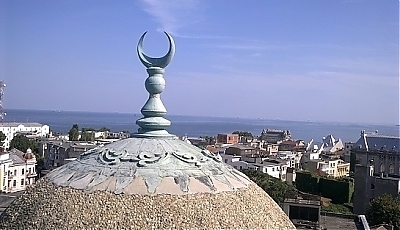 19274.jpg