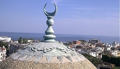 19563.jpg