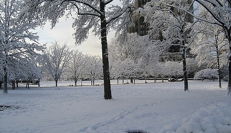 20046.jpg