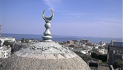 20086.jpg